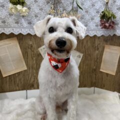 大変身🌟
