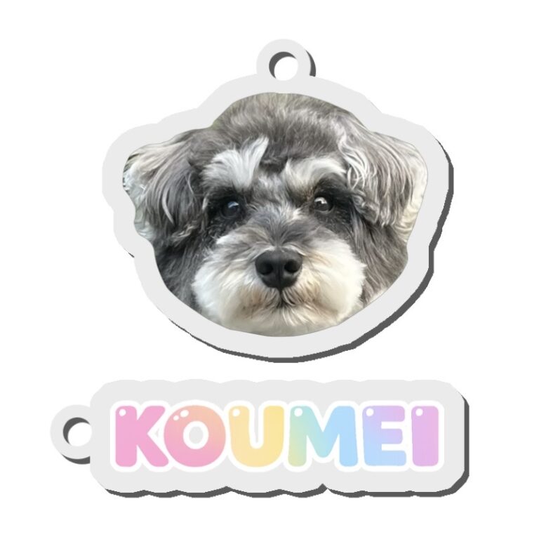 koumeiakey