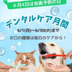 ６月はデンタルケア月間！