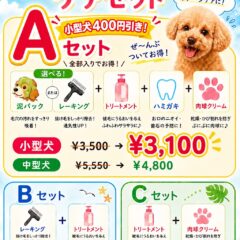 新セットメニュー！