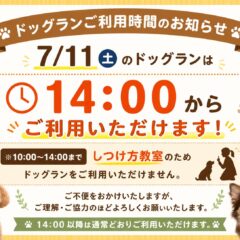 ドックランからのお知らせ